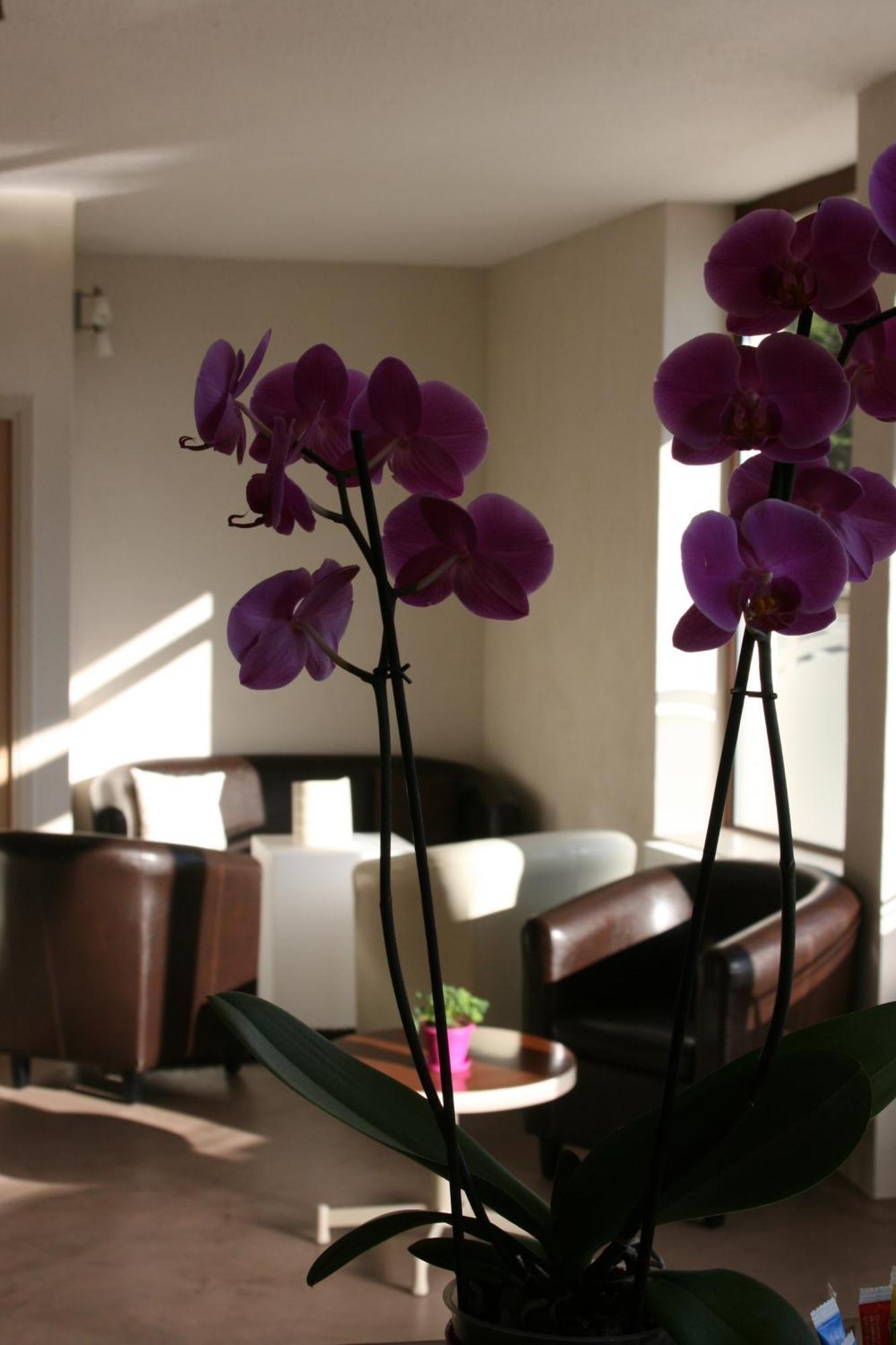 Hotel Bel Horizon Saint-Chély-dʼApcher Dış mekan fotoğraf